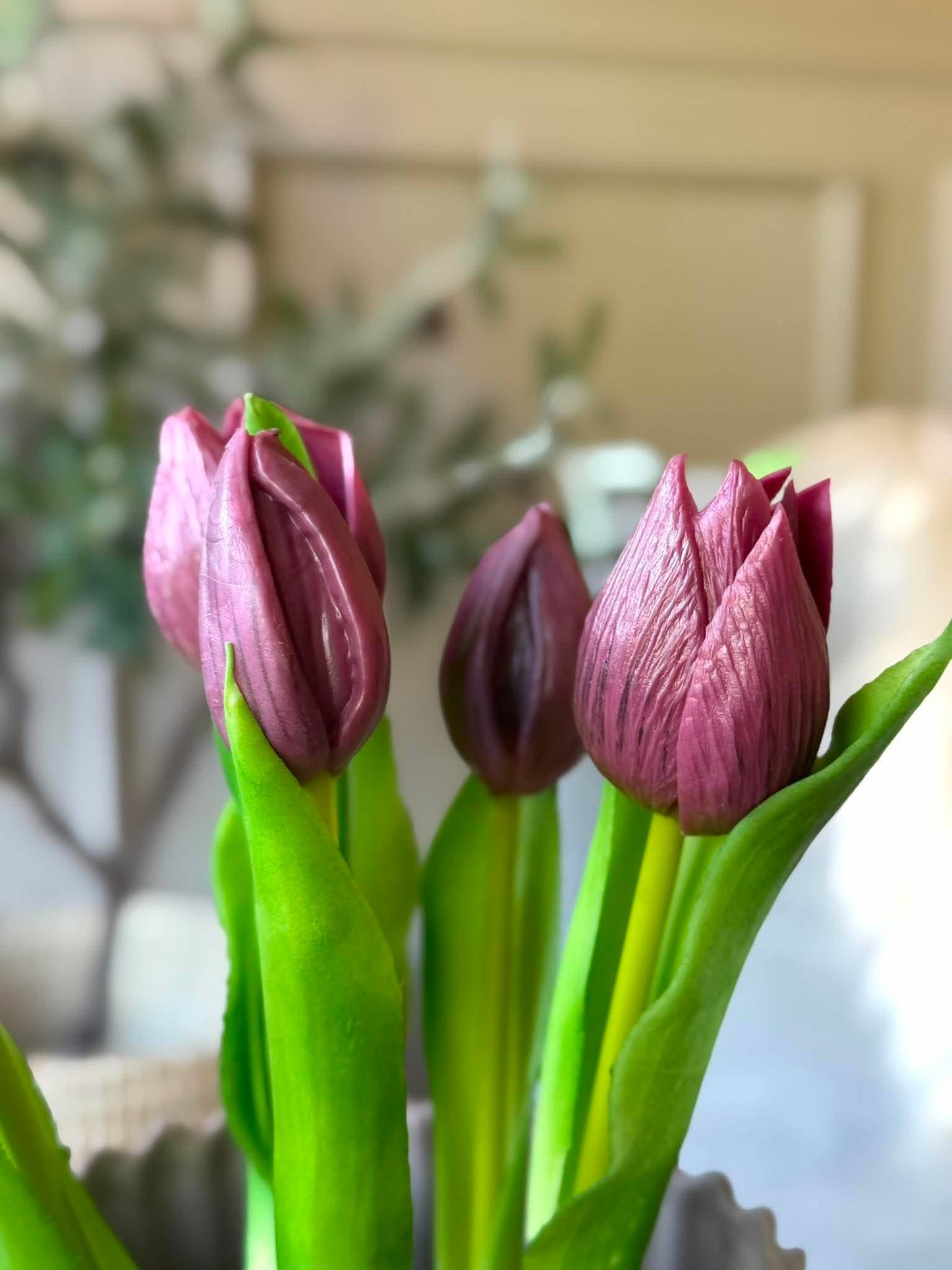 Tulipan i potte - Lilla med 5 blomster