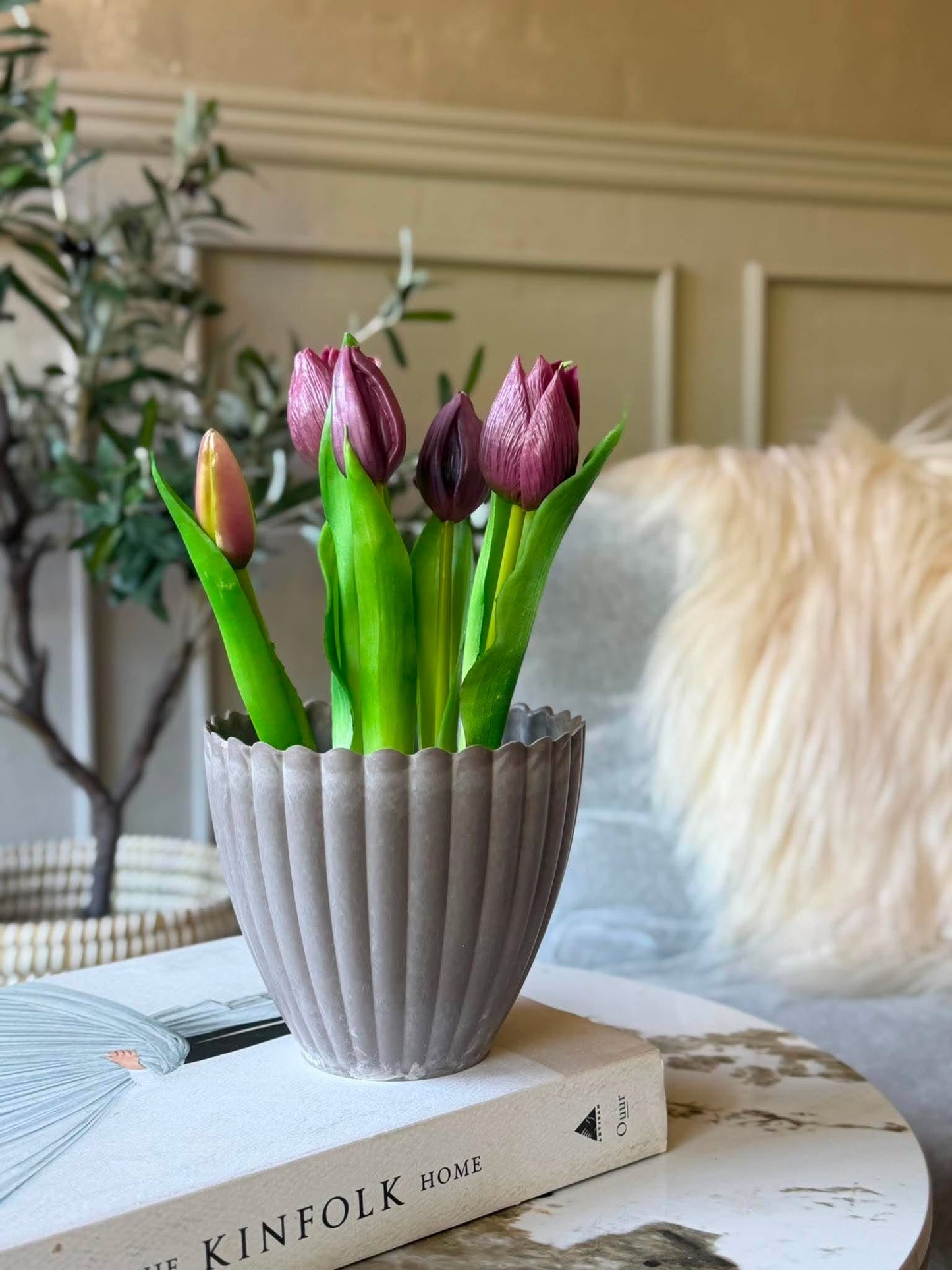 Tulipan i potte - Lilla med 5 blomster