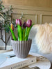 Tulipan i potte - Lilla med 5 blomster