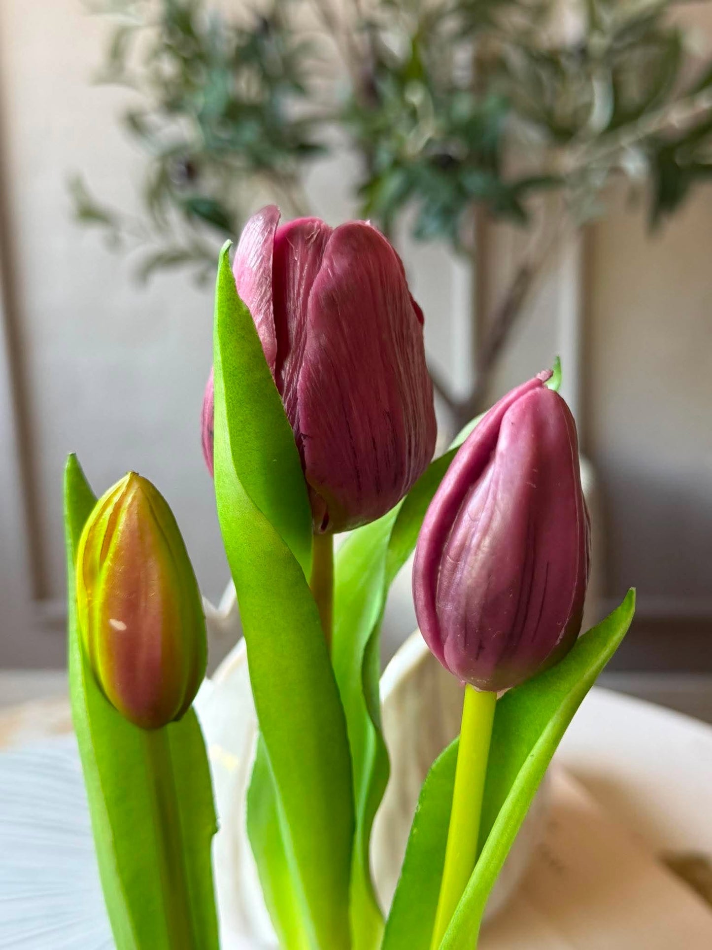 Tulipan i potte - Lilla med 3 blomster