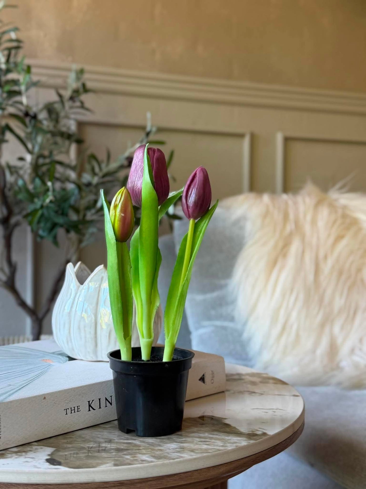 Tulipan i potte - Lilla med 3 blomster