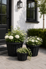 Plantekurve i sort flet - 3 stk