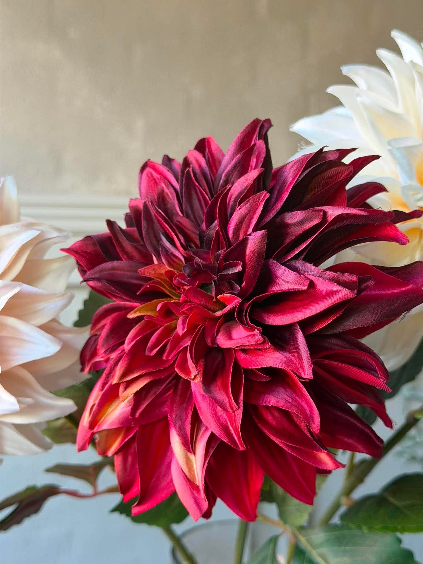 Dahlia - Color mix