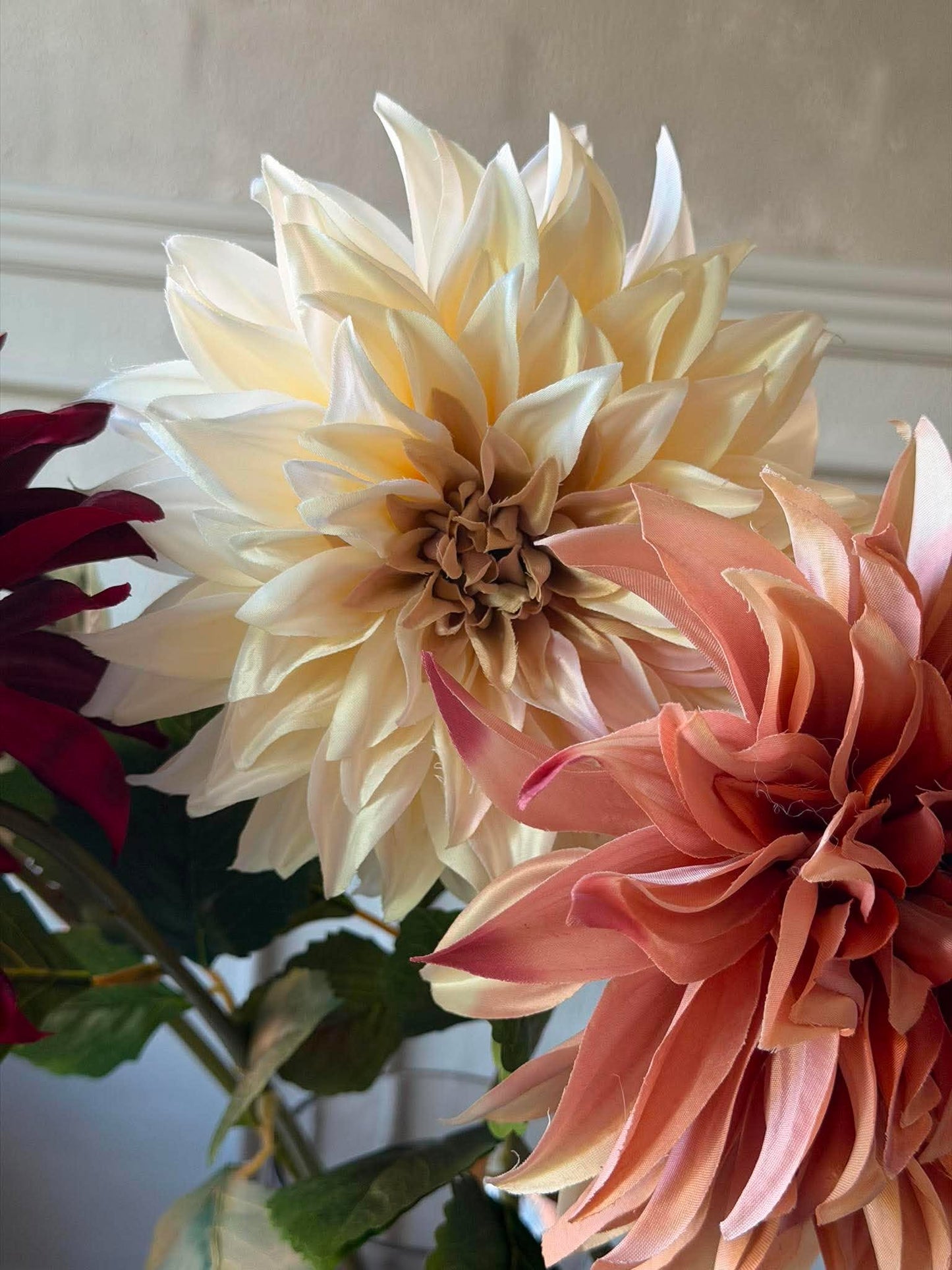 Dahlia - Color mix