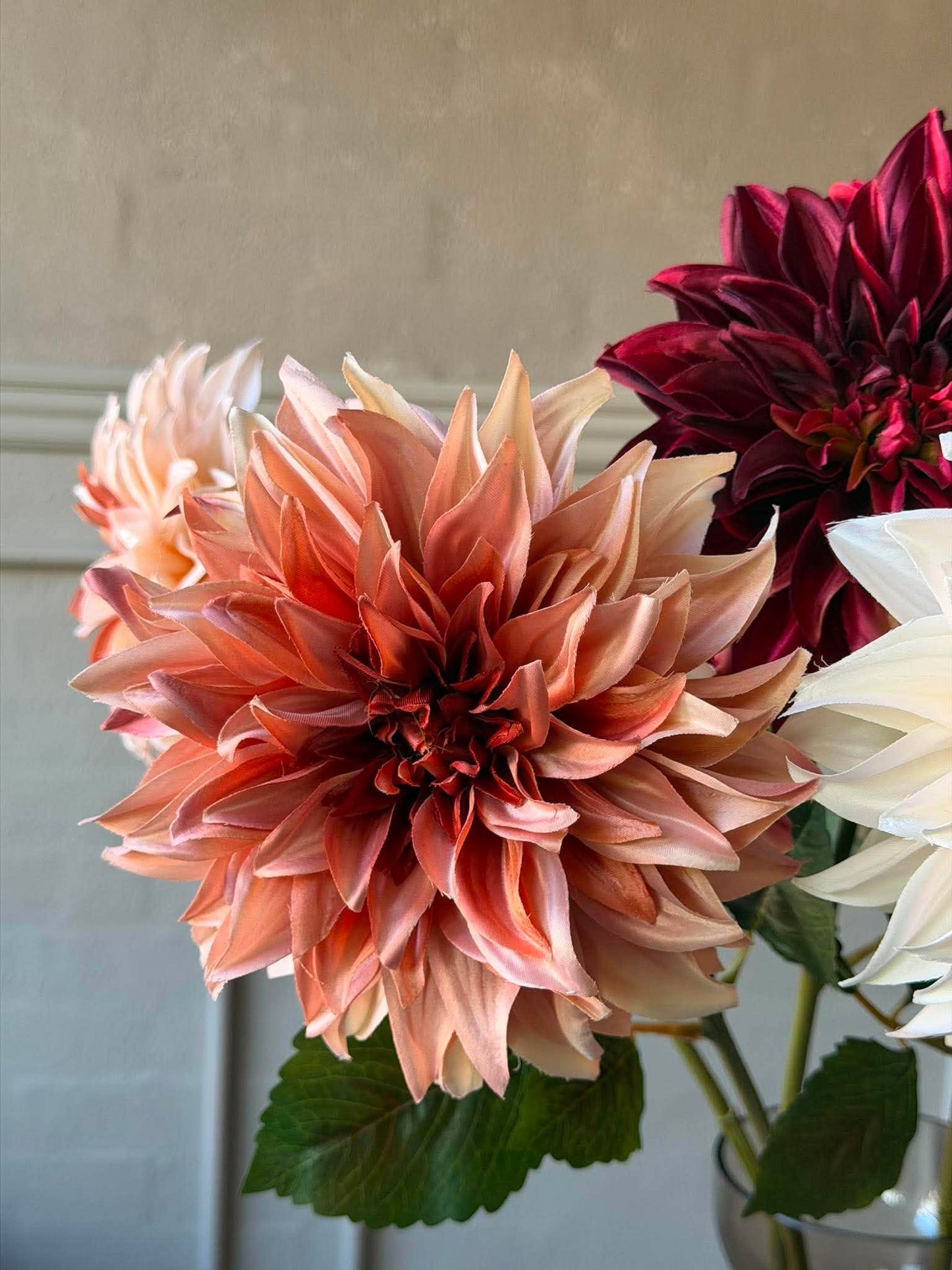 Dahlia - Color mix