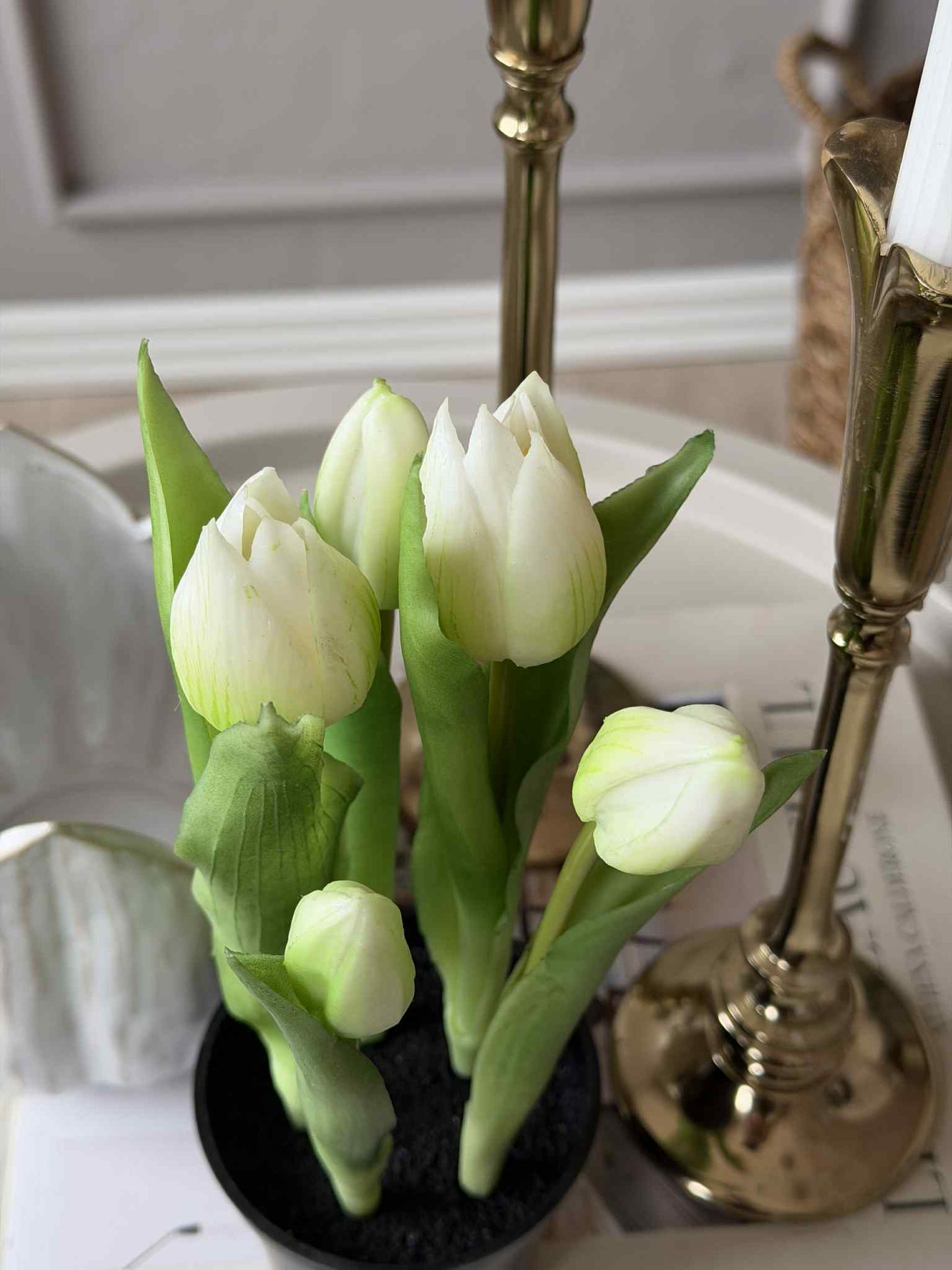 Tulipan i potte - Hvid