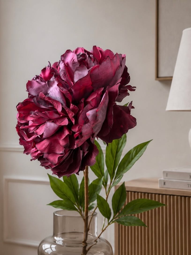 Pæon stilk 72 cm - Bordeaux
