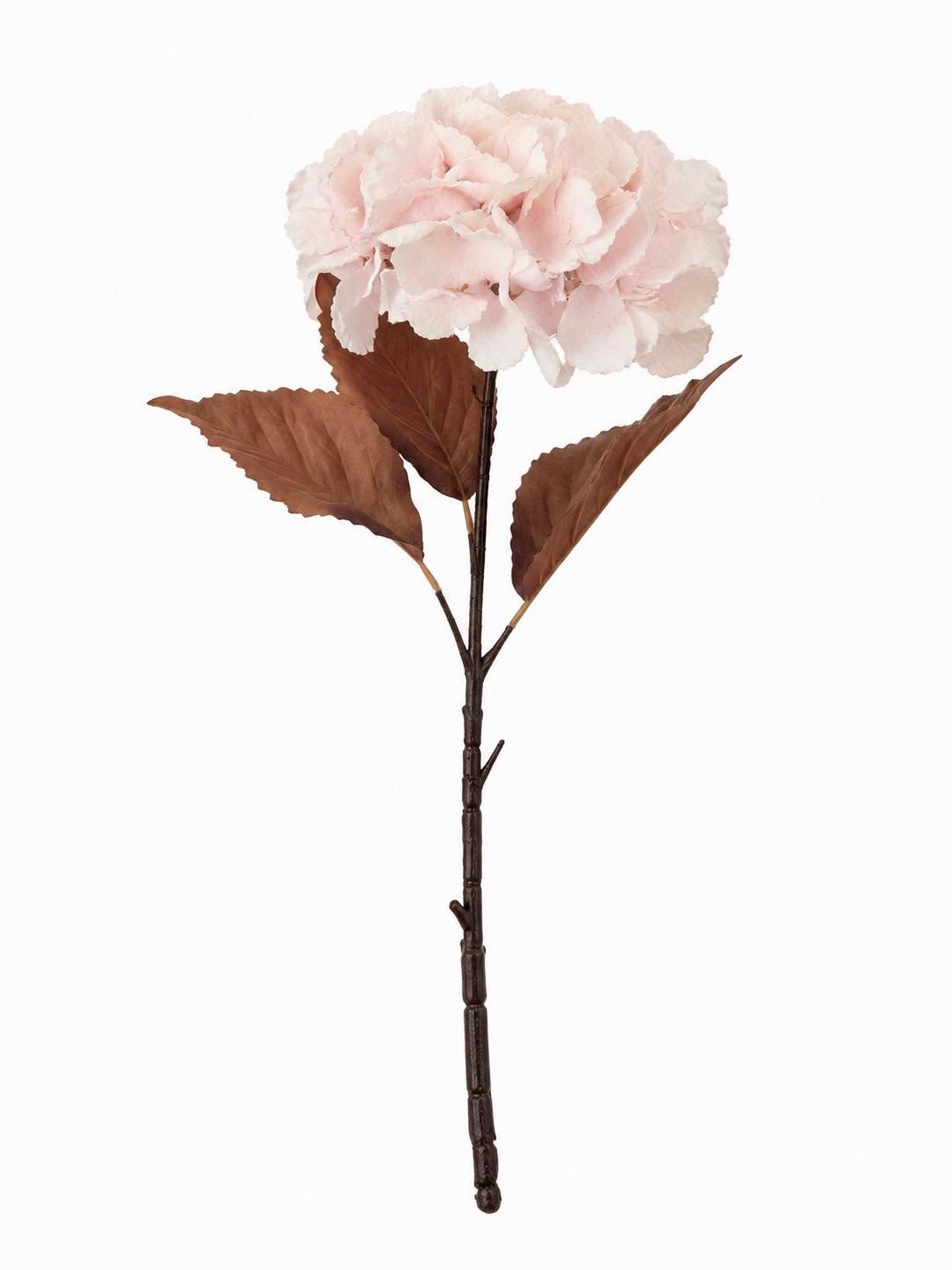 Hortensia 49 cm - Pudder