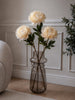 Pæon stilk 72 cm - Creme