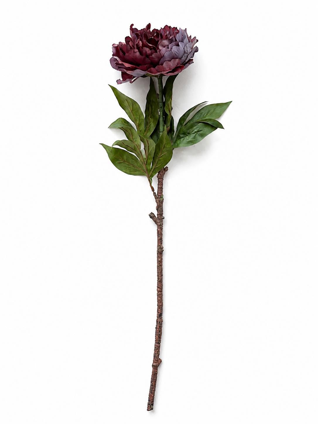Pæon 72 cm - Lilla