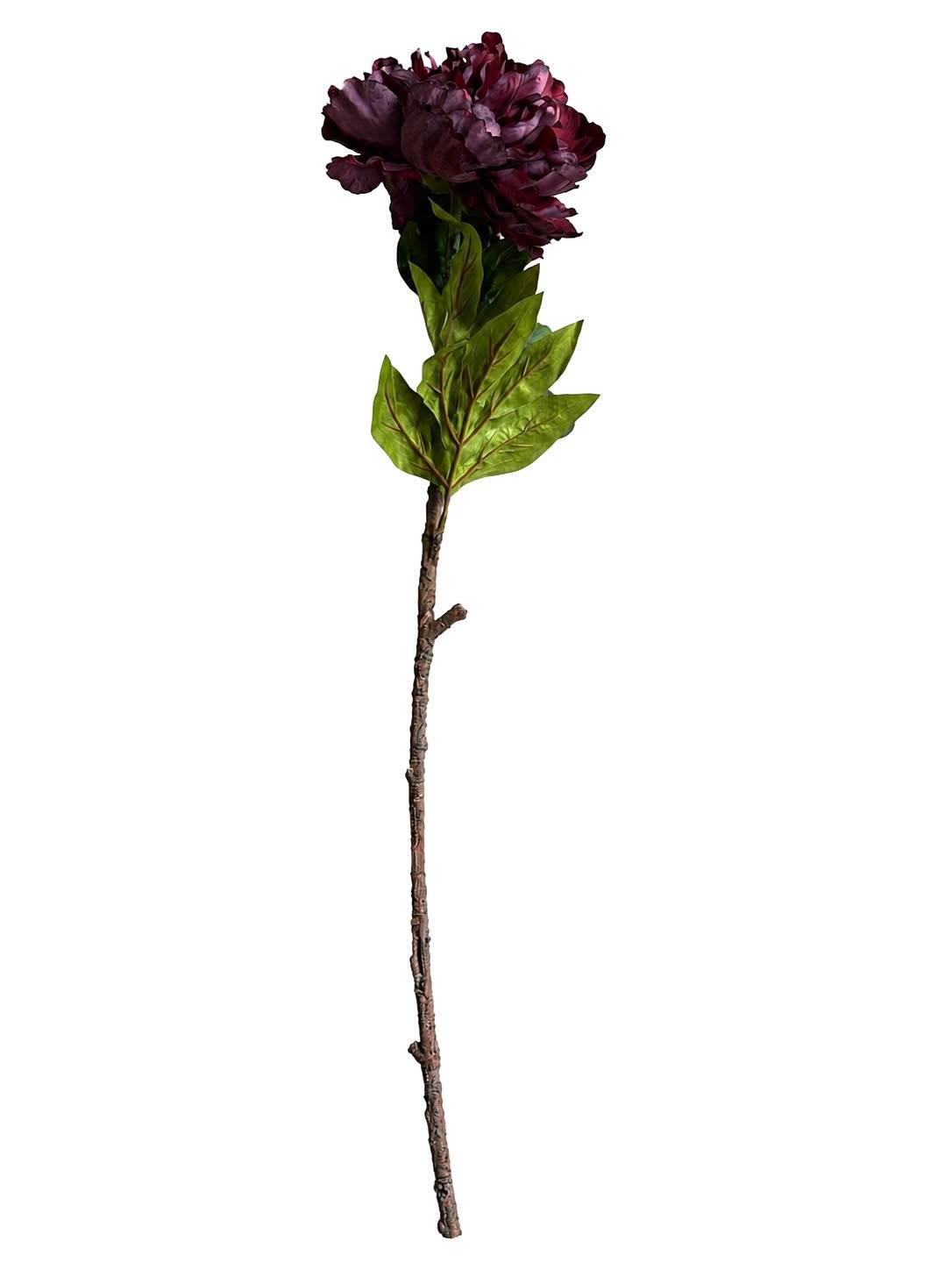Pæon stilk 72 cm - Bordeaux