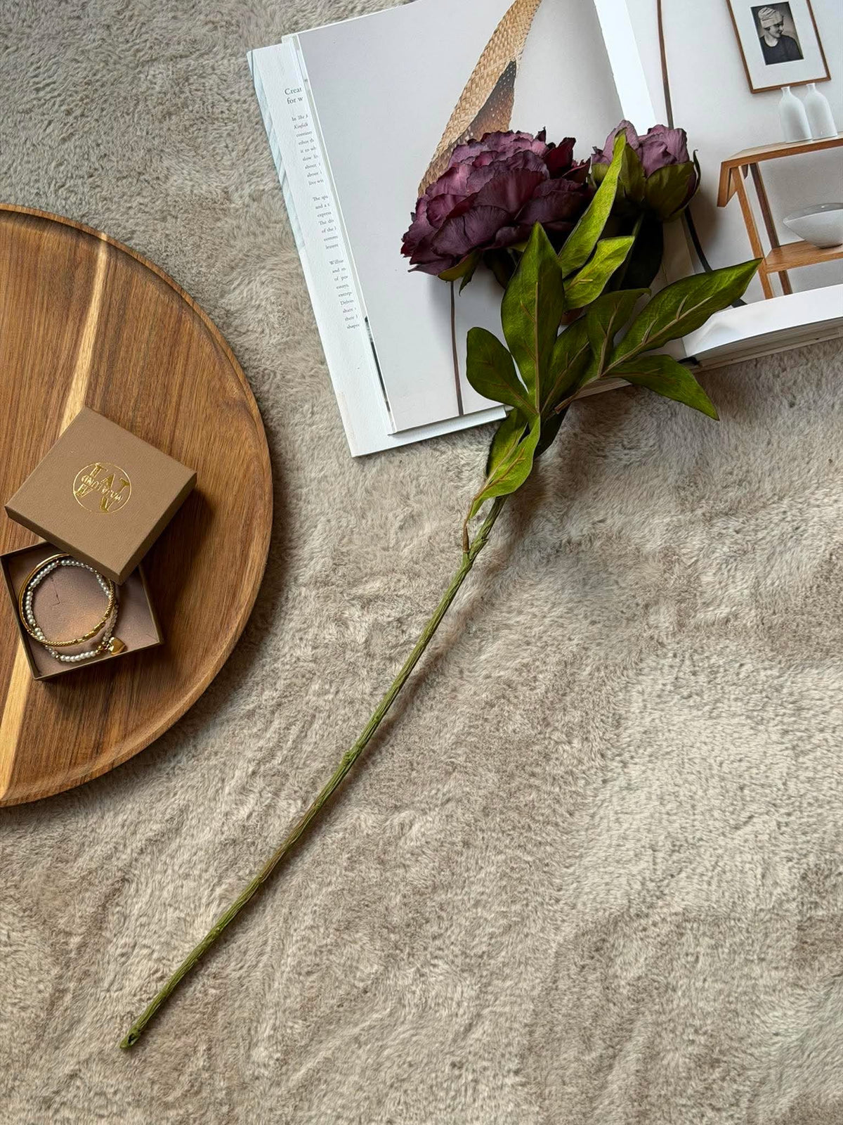 Pæon 69 cm - Bordeaux