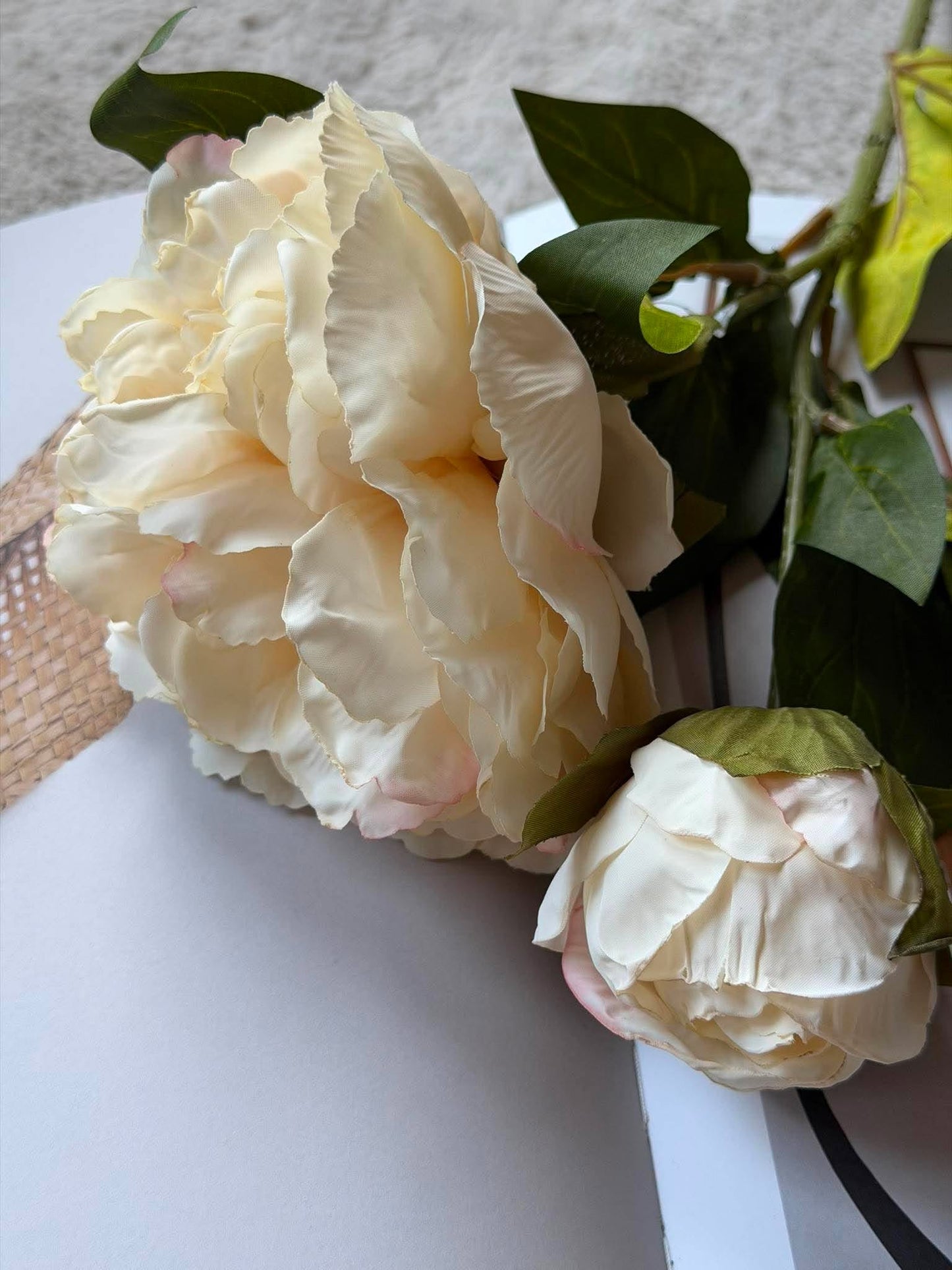 Pæon 69 cm - creme