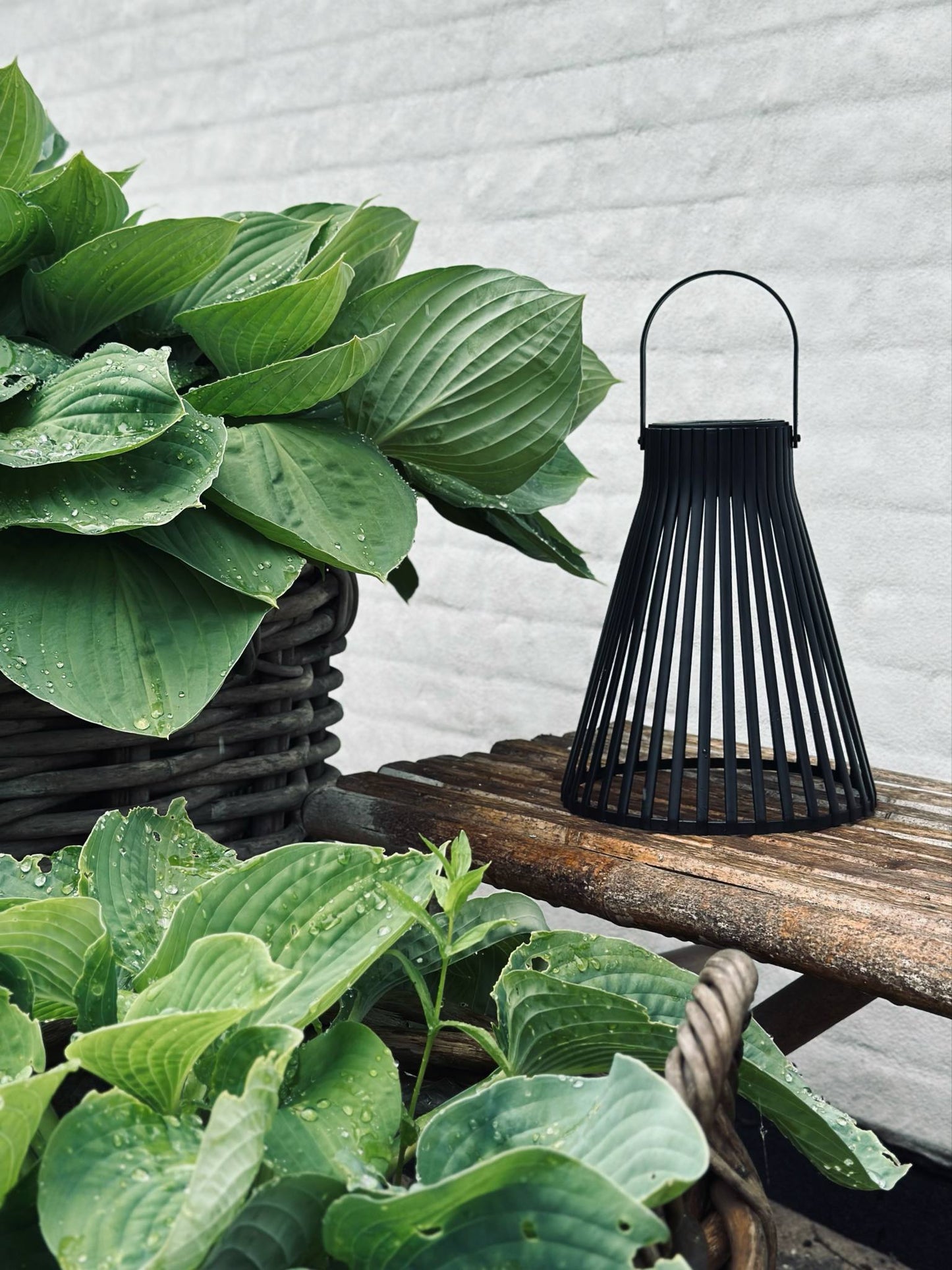 Lanterne med solceller - GARDEN BLACK 24cm