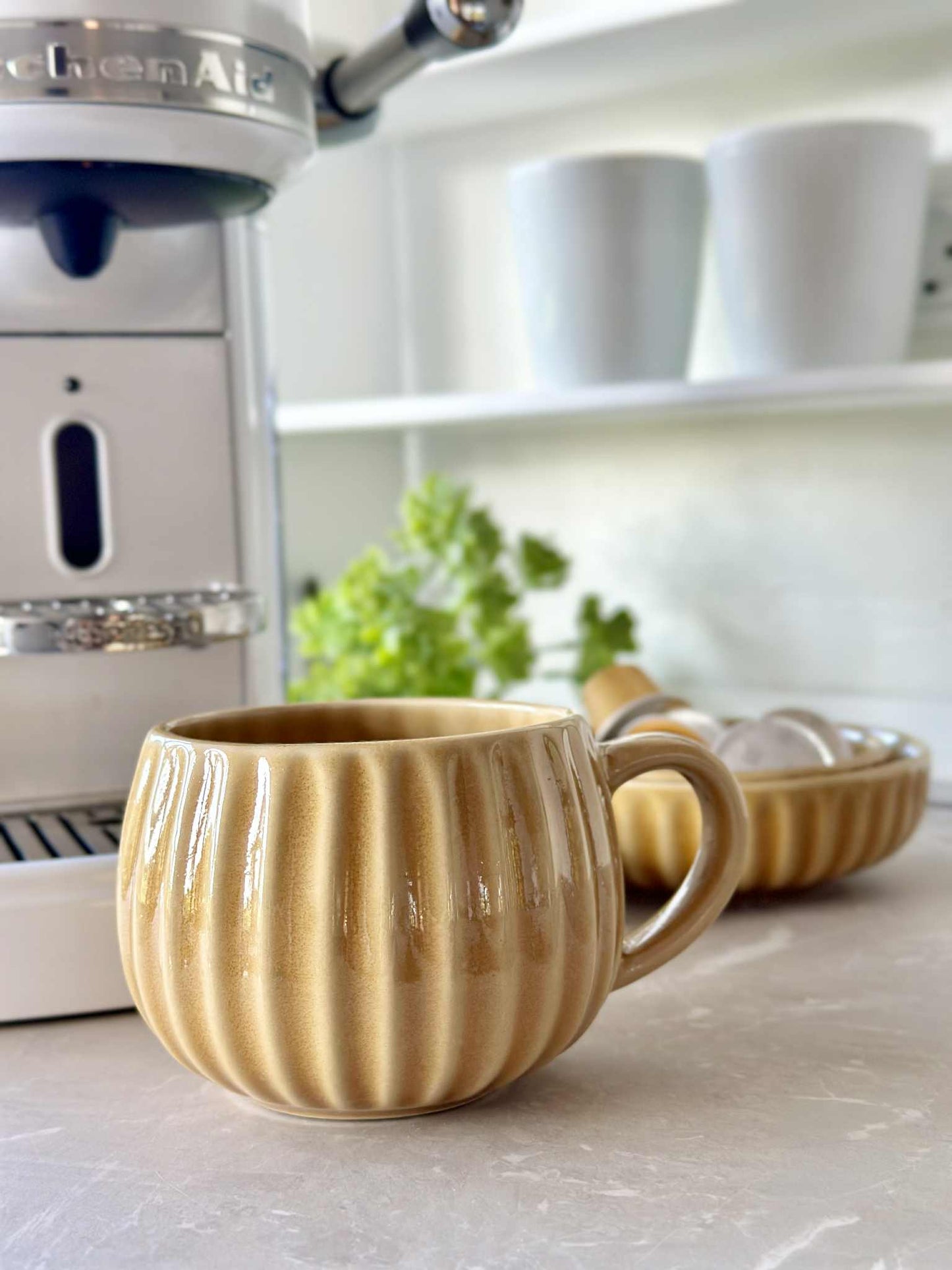 Krus VIGA Strib - Sennep