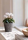 Potte i beton look – Lille
