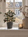 Potte i beton look - Mellem