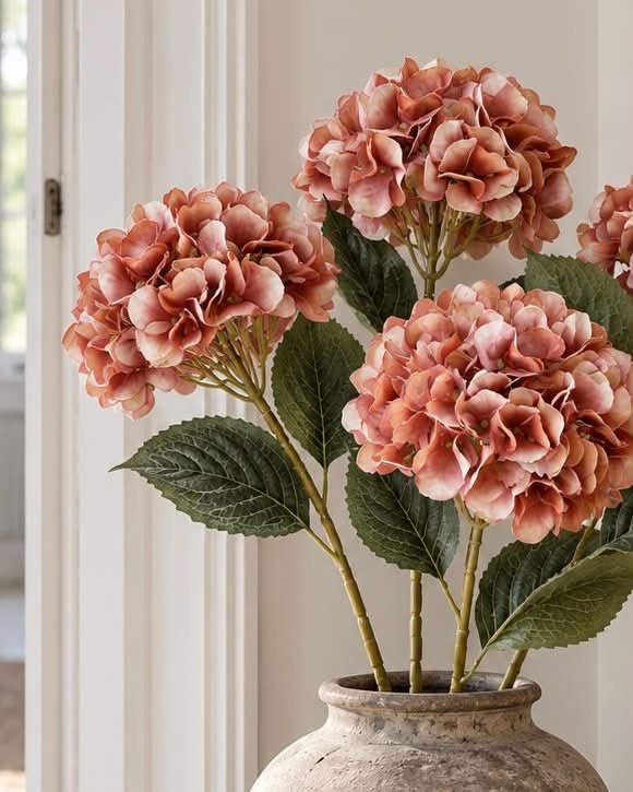 Hortensia brændte farver - Mix