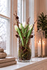 Tulipan i potte - Hvid