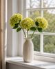 Hortensia Stilk - Lime