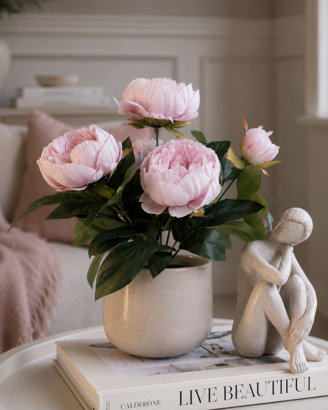 Pæon i potte - Rosa