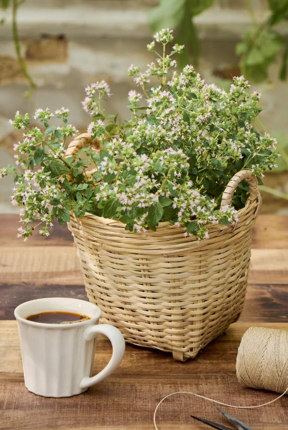 Vægkurv med ophæng – Bambus