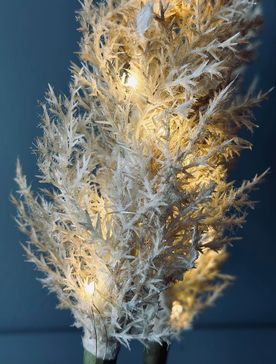 Pampas med LED lys - 118cm