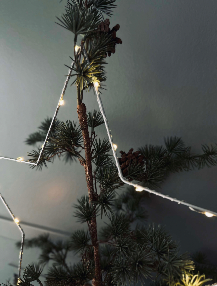 LED Stjerne Sølv 30cm