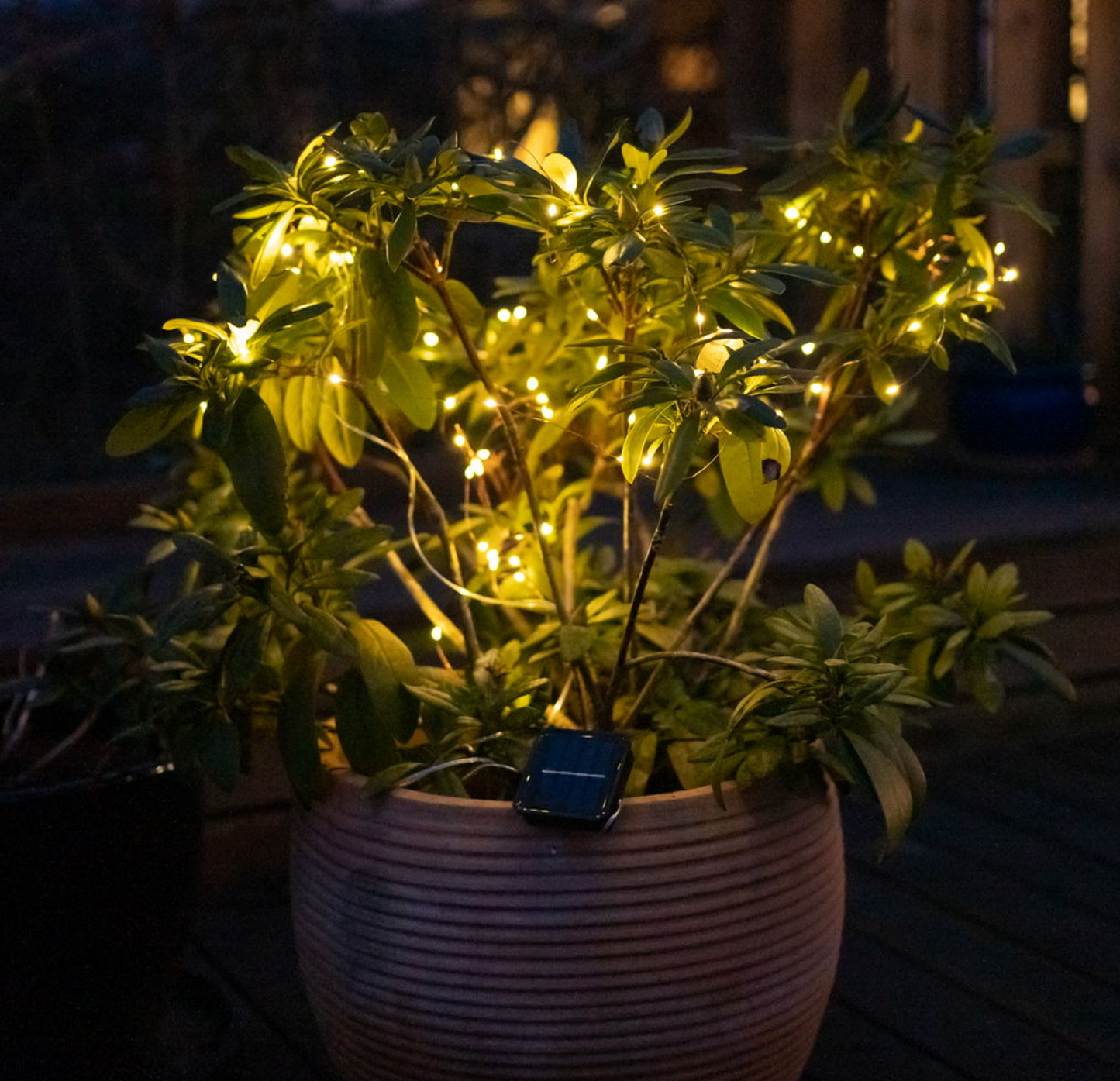 Lyskæde Marly m. Solar - 200 lys