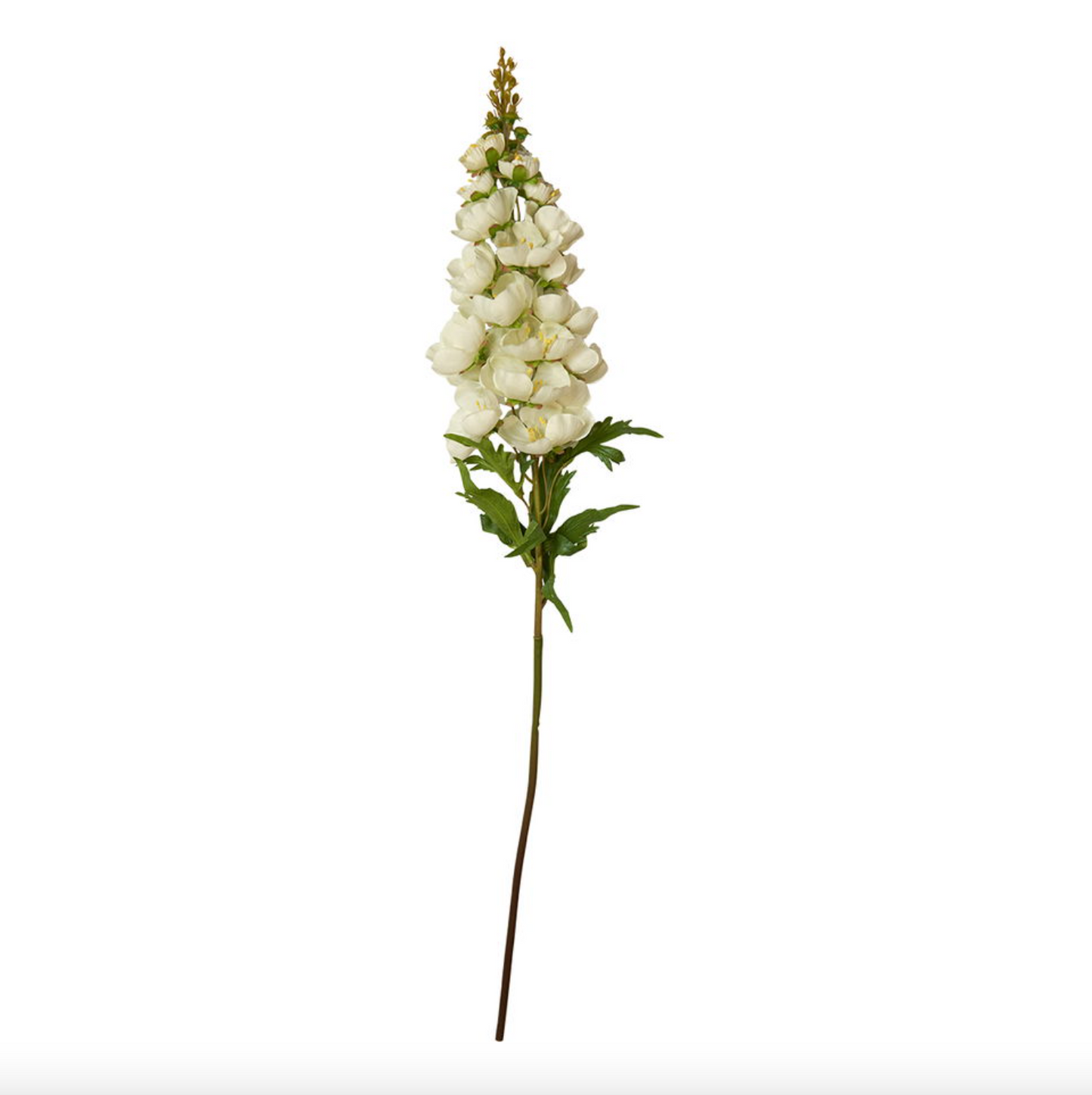 Stokrose stilk