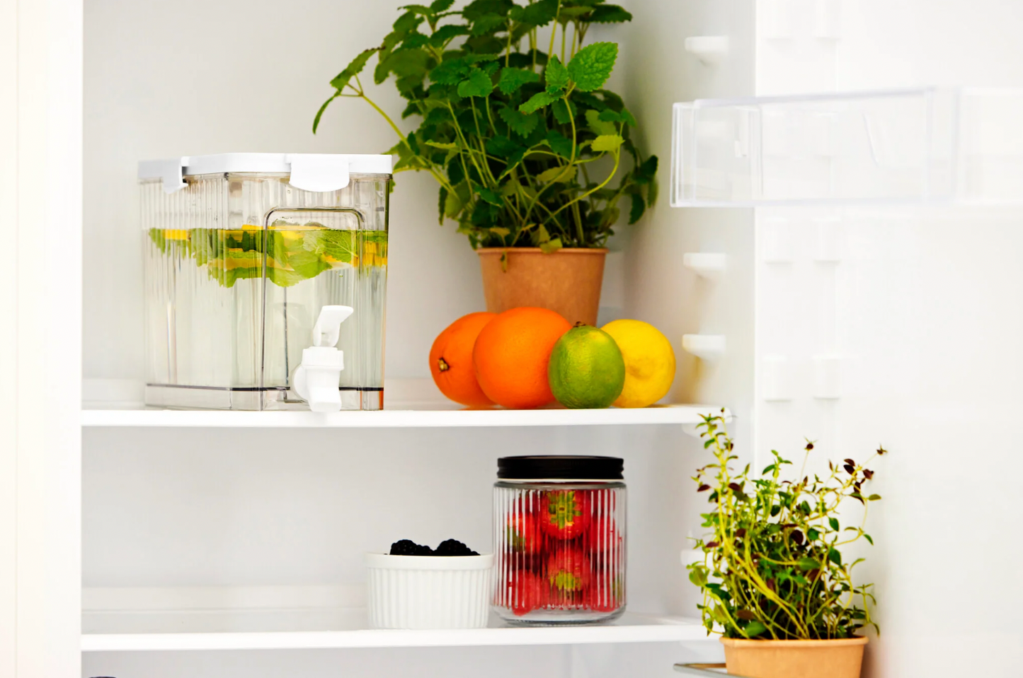 Dispenser med hane til køleskab