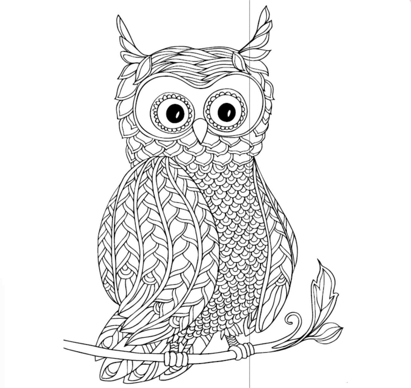 Malebog for voksne - MIX