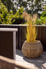 Plantekurve i natur rattan - 2 stk