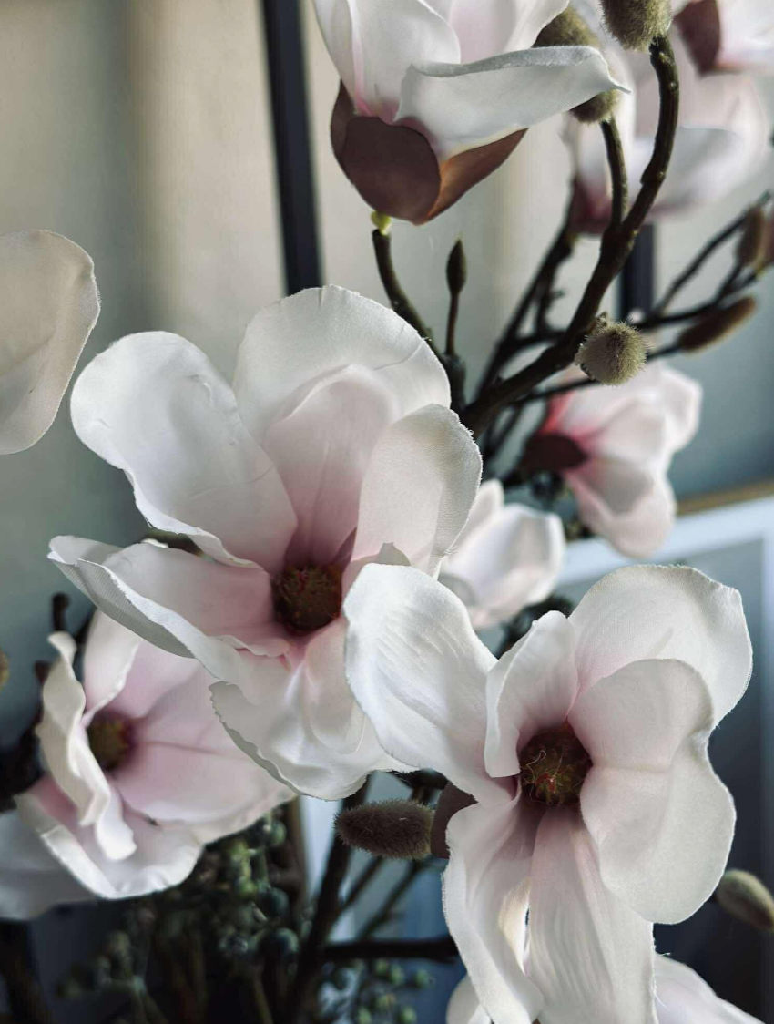 Magnoliagren - Pink 52cm