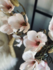 Magnoliagren - Pink 52cm