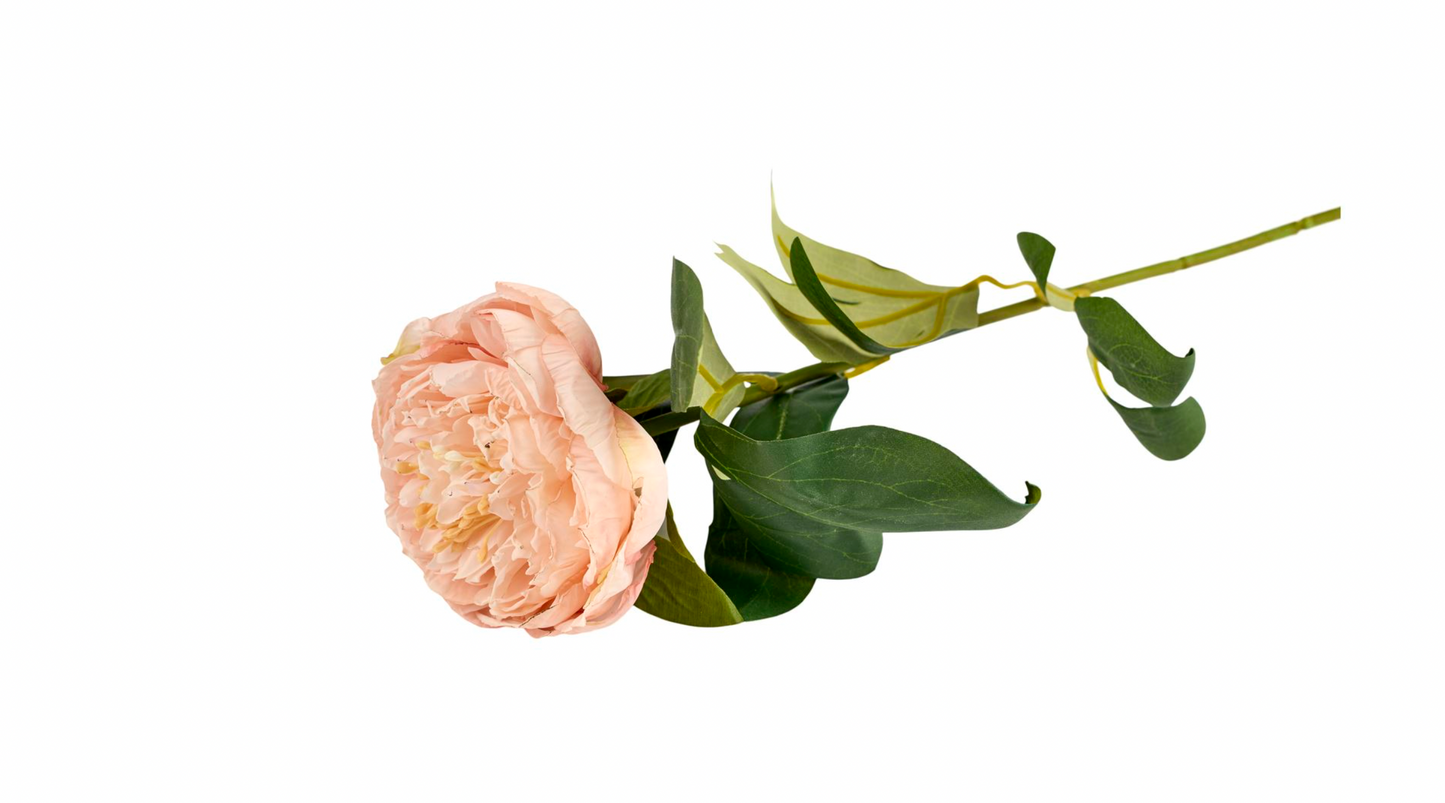 Blomst Pæon - Sart rosa 70cm
