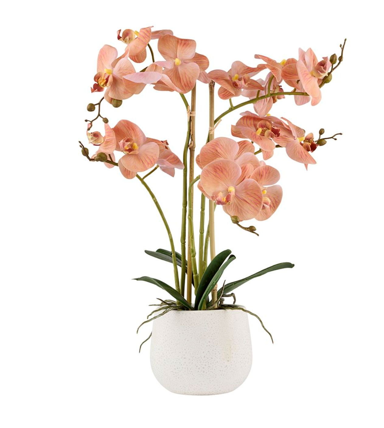 Orkidé i potte - Rosa 50cm