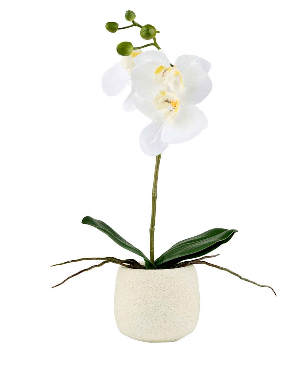 Orkidé i potte - Hvid 36cm