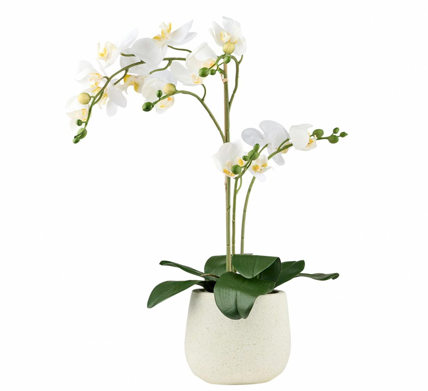 Orkidé i potte - Hvid 50cm