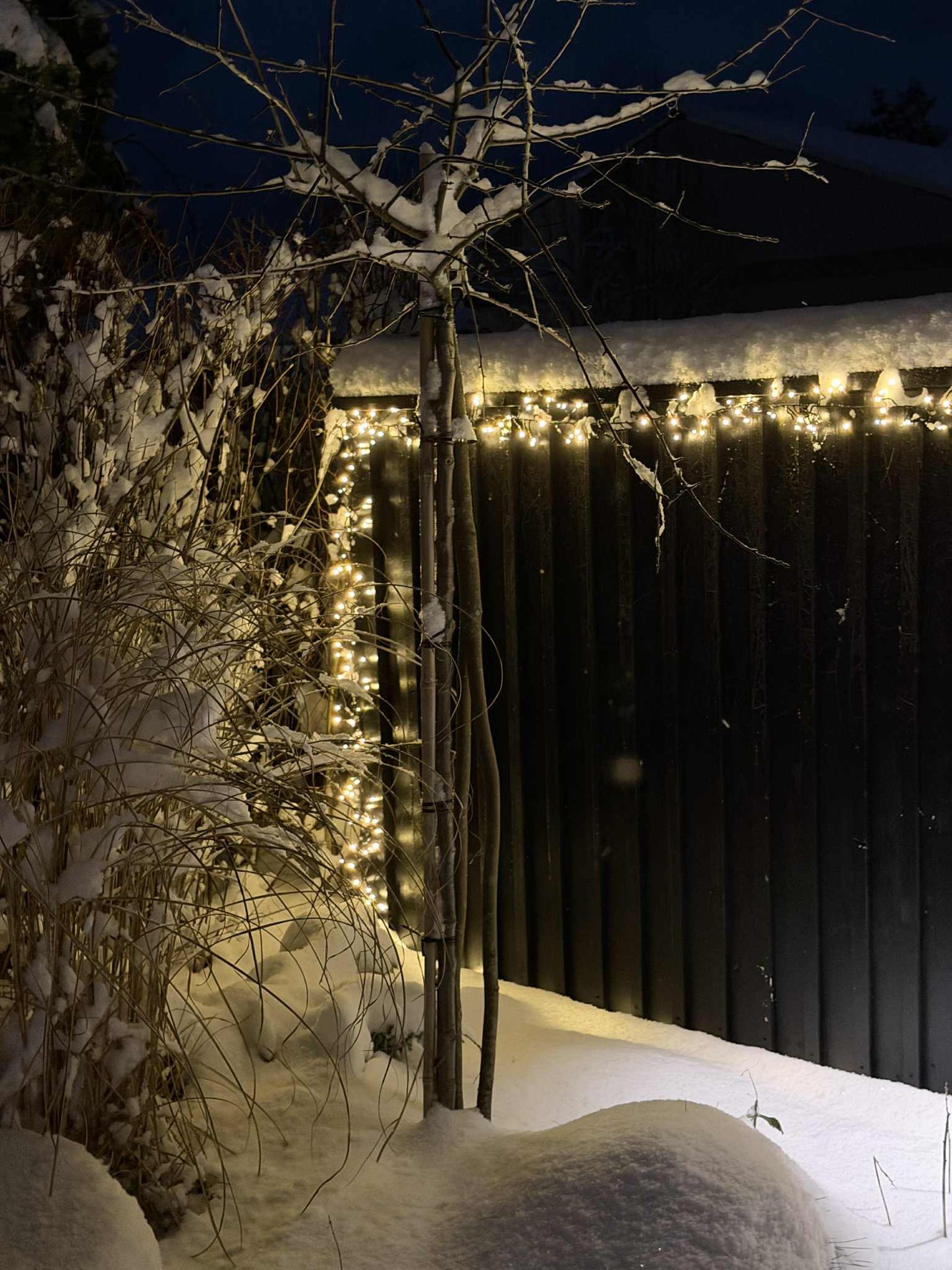 Lyskæde CLUSTER - Varm hvid