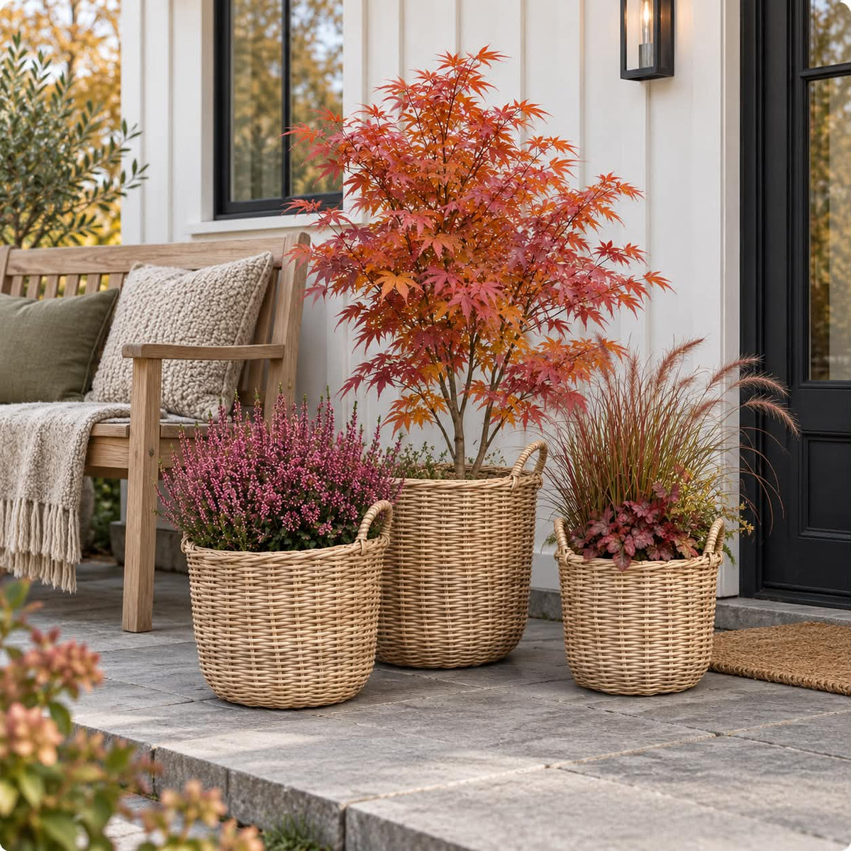 Plantekurve i natur - 3 stk
