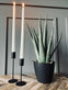 Aloe vera ink potte - 45cm - VIAMAJA.DK