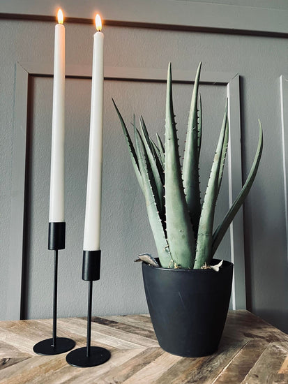 Aloe vera ink potte - 45cm - VIAMAJA.DK