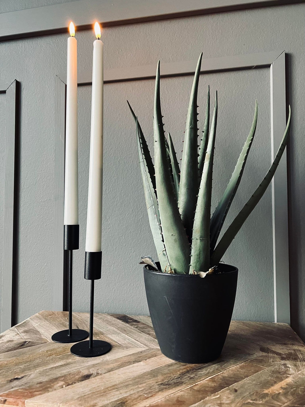 Aloe vera ink potte - 45cm - VIAMAJA.DK