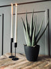 Aloe vera ink potte - 45cm