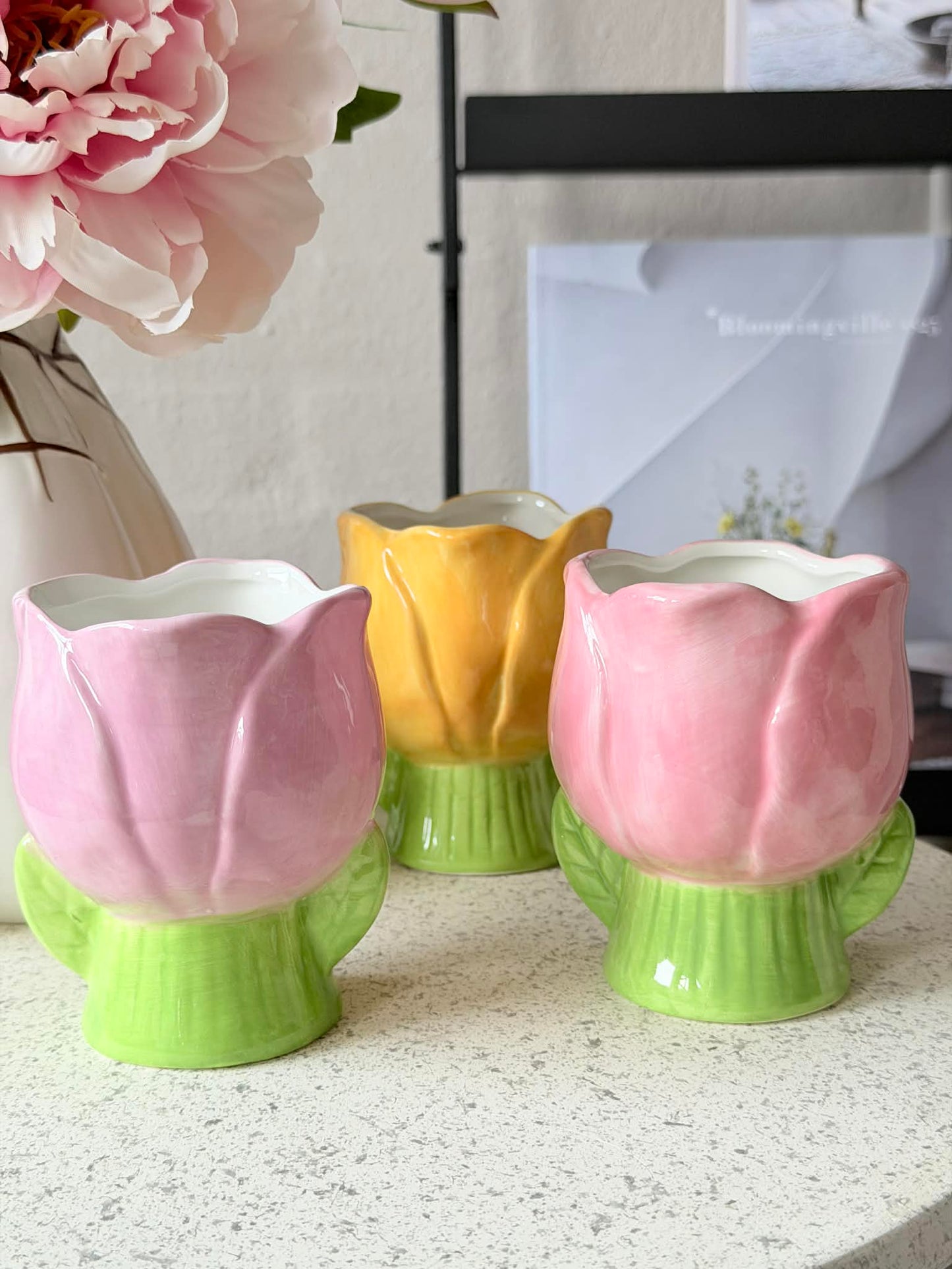 Skjuler Tulipan - Flere farver