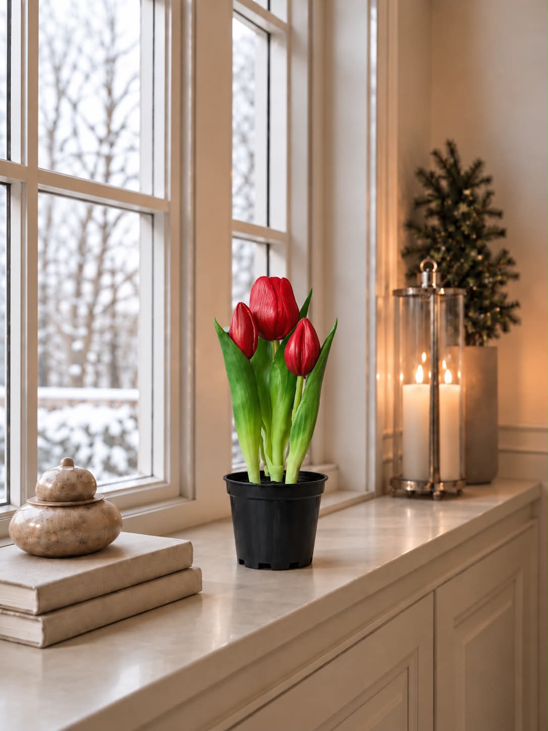 Tulipan i potte - Rød med 3 blomster