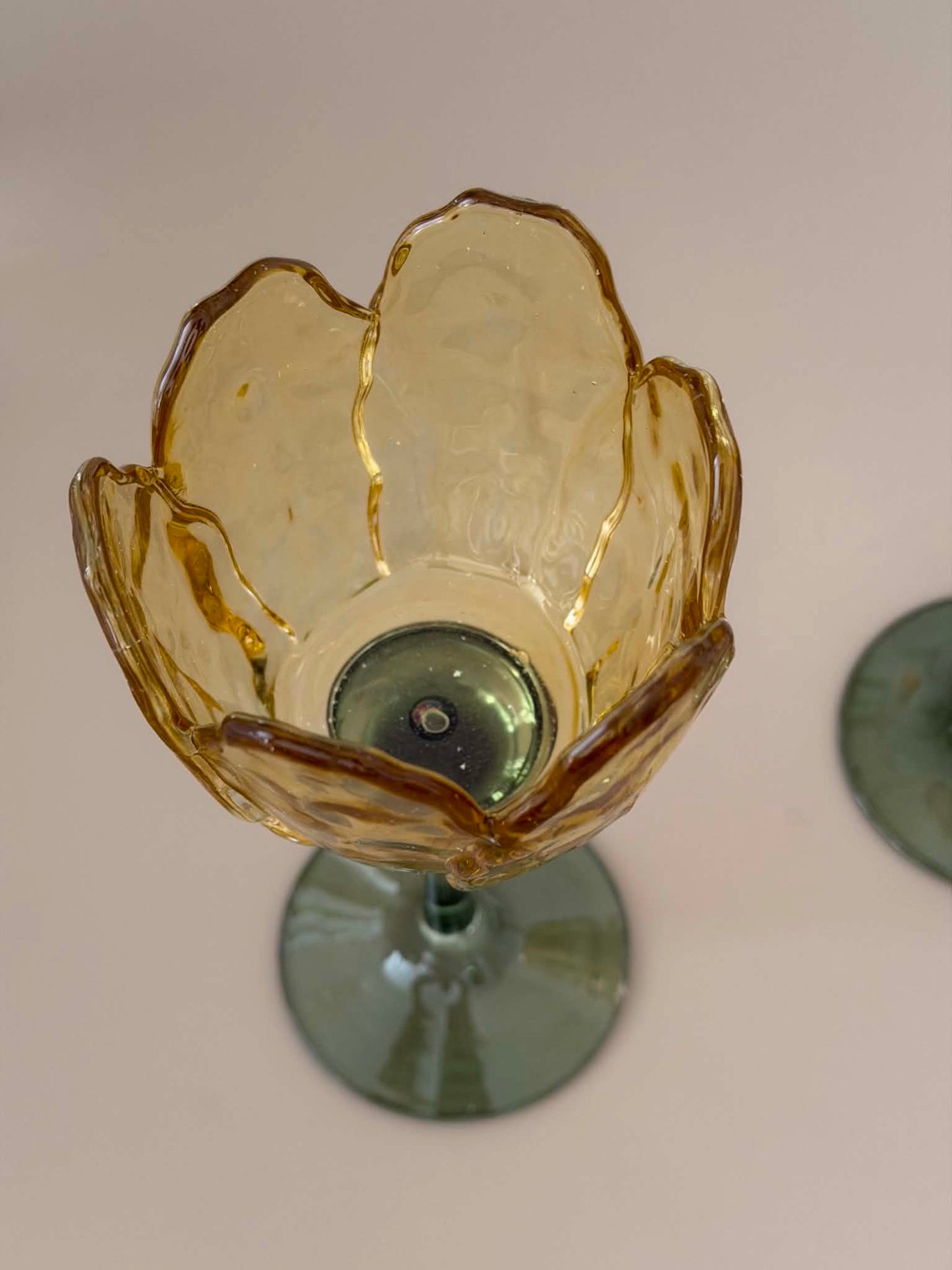 Lysestage flower - Akacie