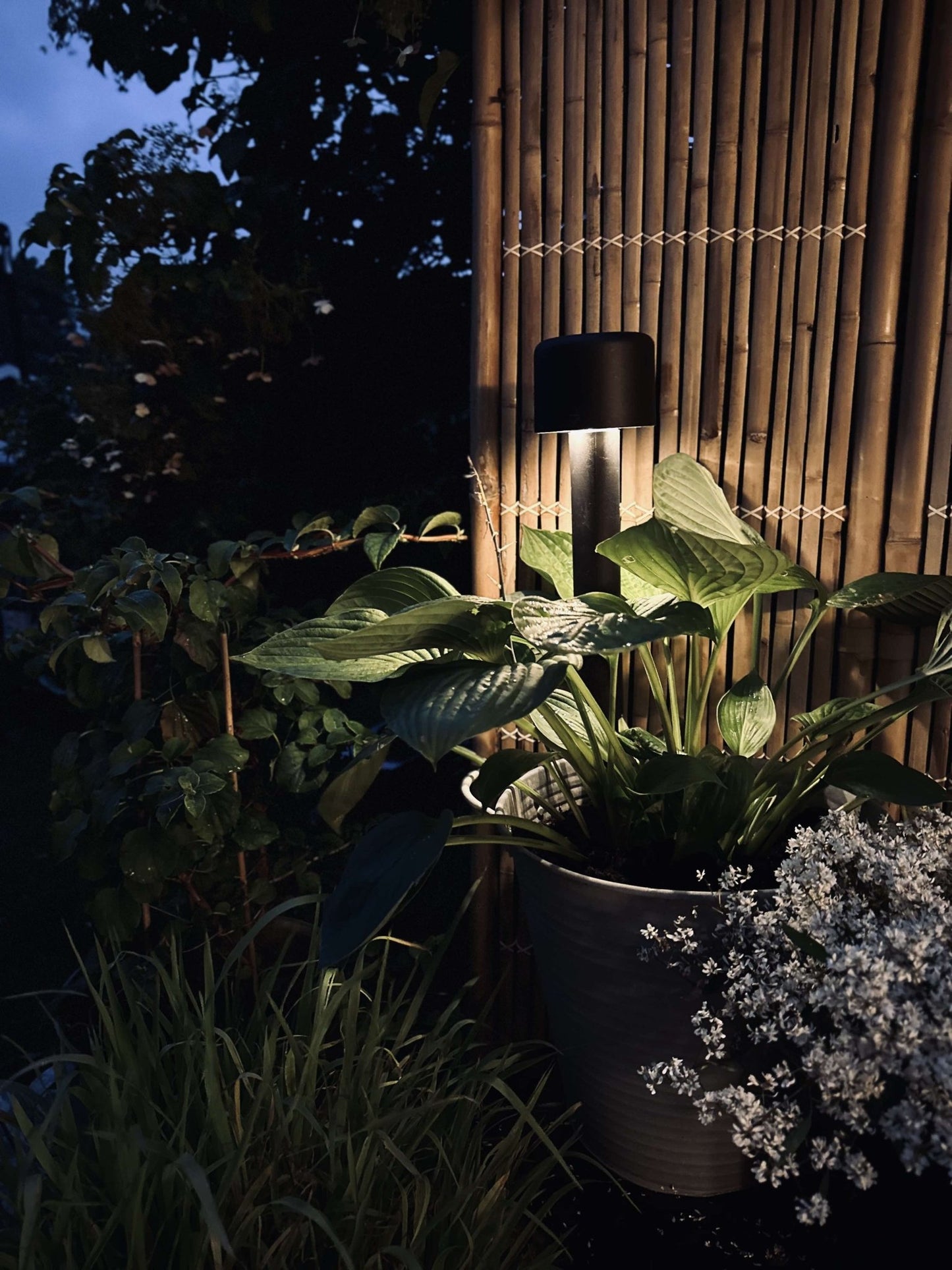 Bedlampe med solceller - VIAMAJA.DK