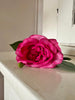 Blomst Rose Mørk pink